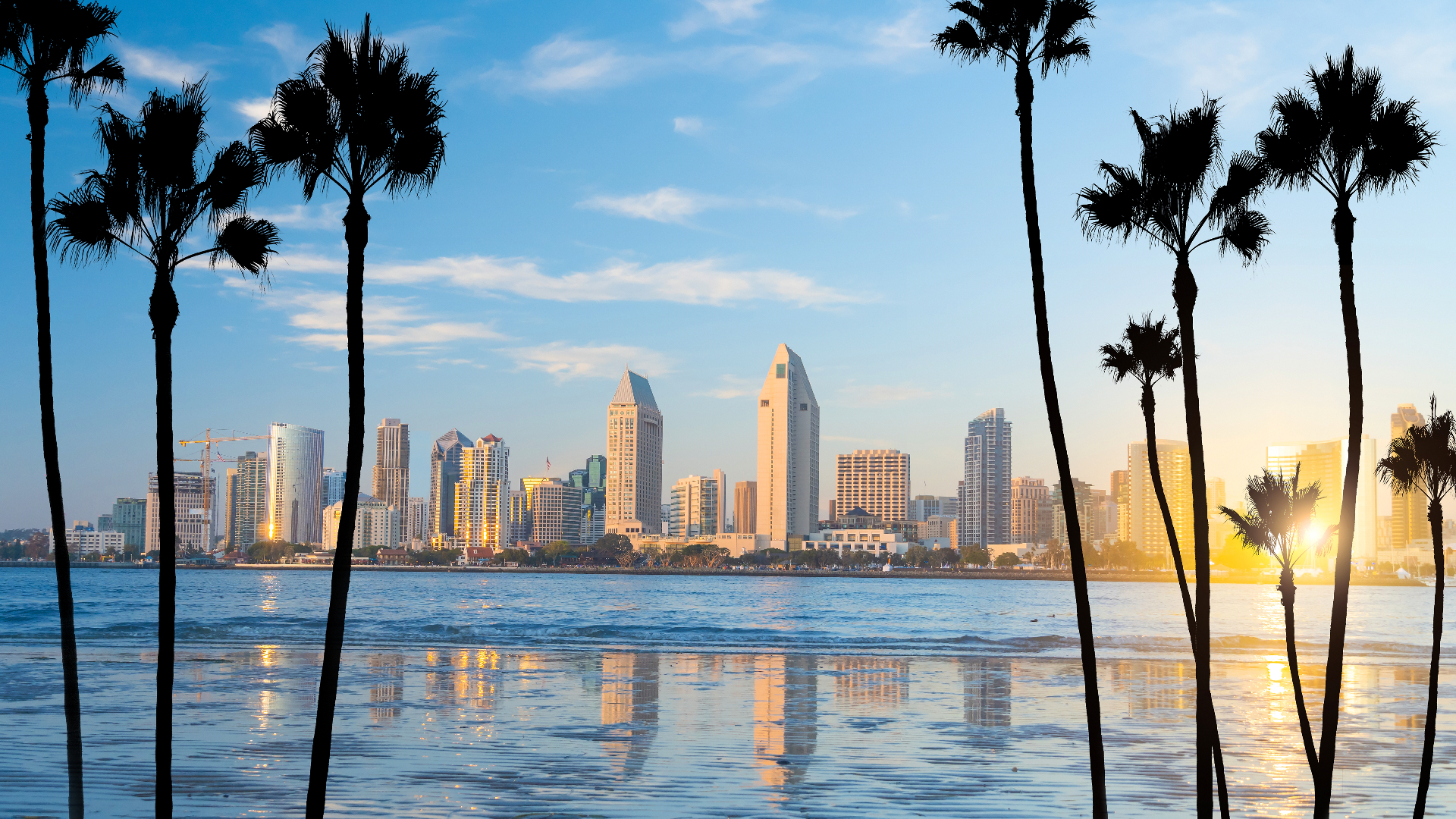 Aerial view of San Diego skyline and harbor